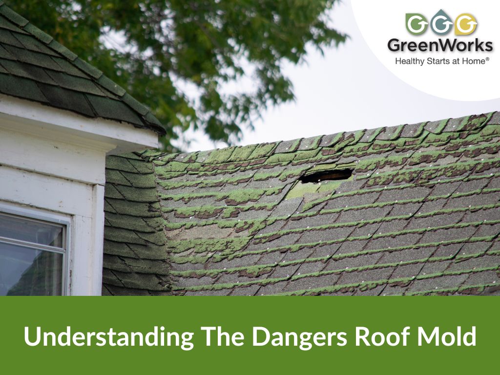 Understanding The Dangers Roof Mold