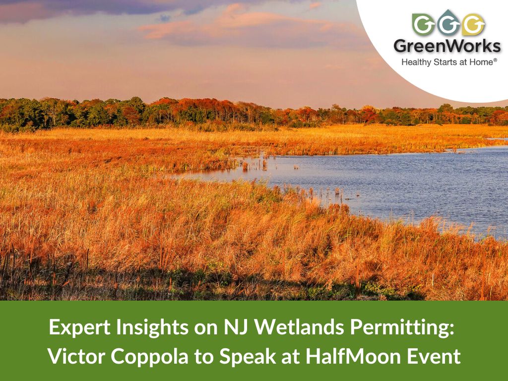 Upcoming webinar: navigating new jersey freshwater wetlands law and compliance