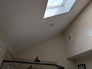 How to Clean and Prevent Black Mold Growth in Your Bathroom 6