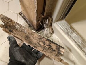 How to Clean and Prevent Black Mold Growth in Your Bathroom 4