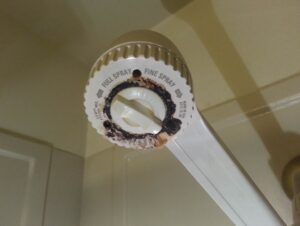 How to Clean and Prevent Black Mold Growth in Your Bathroom 3
