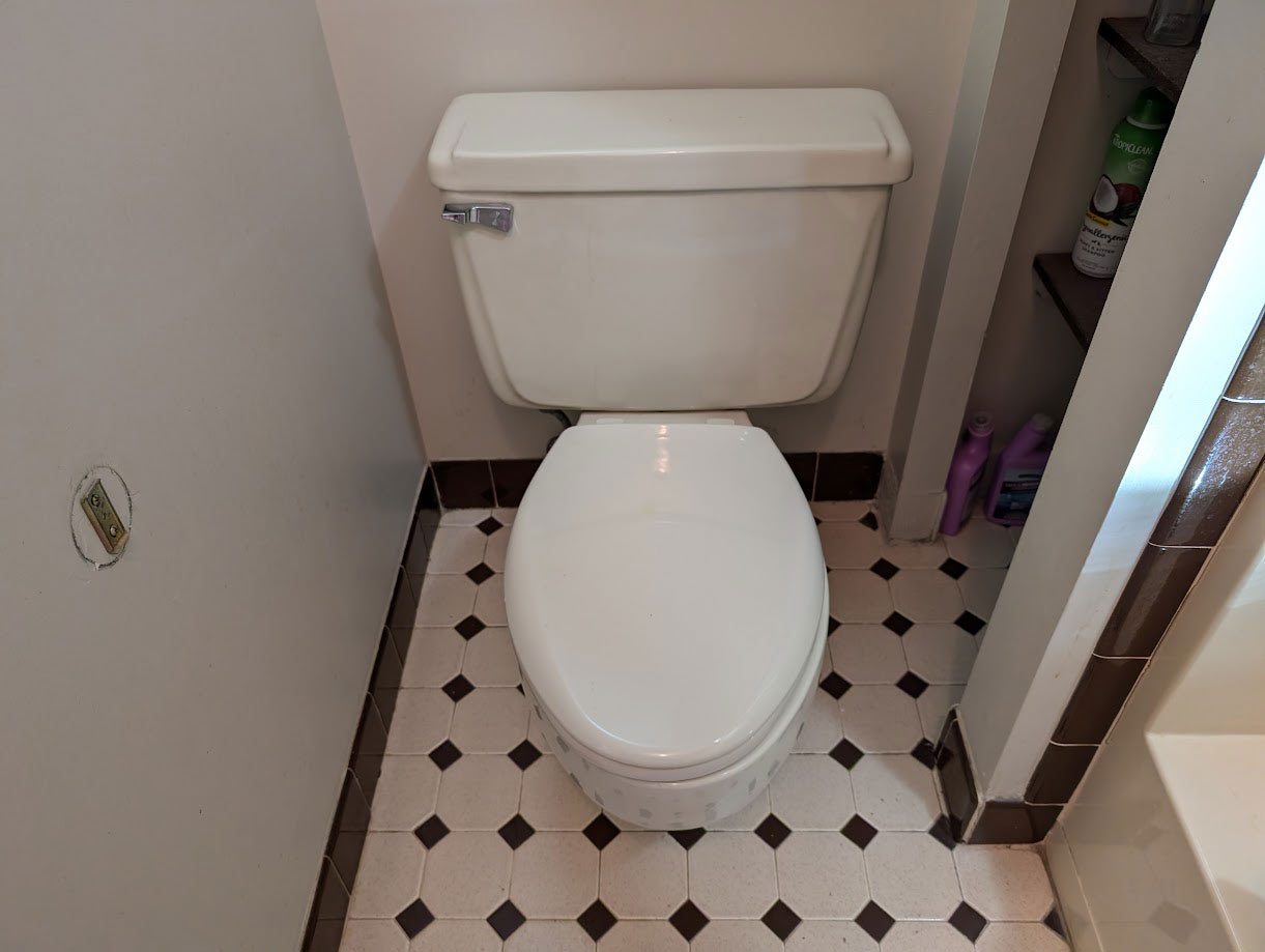 A white toilet with a closed lid is situated on a black and white tiled floor, adjacent to a wall, with cleaning products on a shelf nearby.