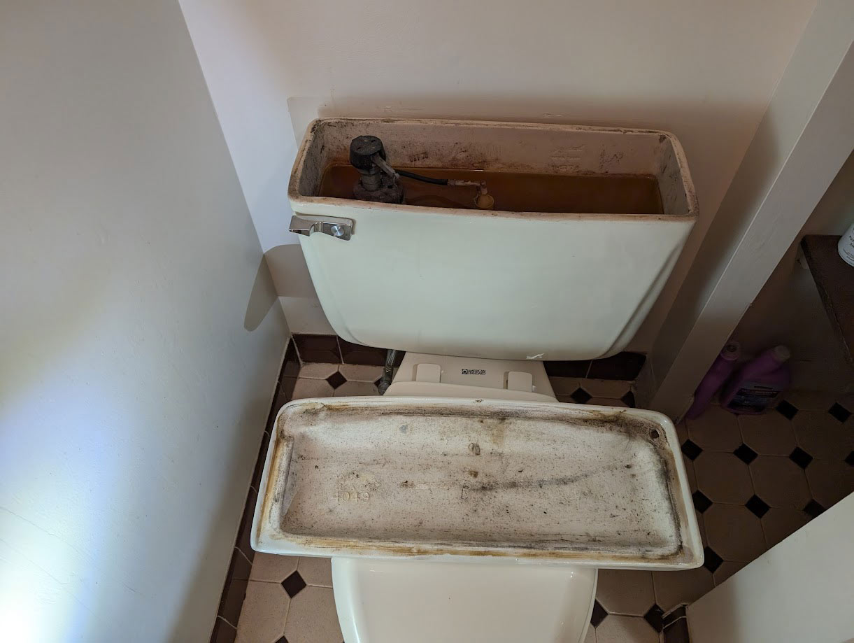 The image shows the underside of a toilet tank lid, revealing dirt and grime. The lid rests on the toilet seat, and the bathroom floor features hexagonal black and white tiles.
