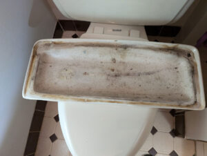 The image shows the underside of a toilet tank lid, revealing dirt and grime. The lid rests on the toilet seat, and the bathroom floor features hexagonal black and white tiles.
