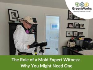 The role of a mold expert witness: why you might need one