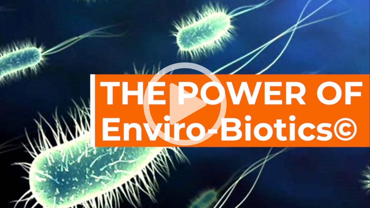 The power of envirobiotics