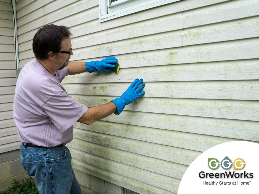 A man cleaning mold in house exterior