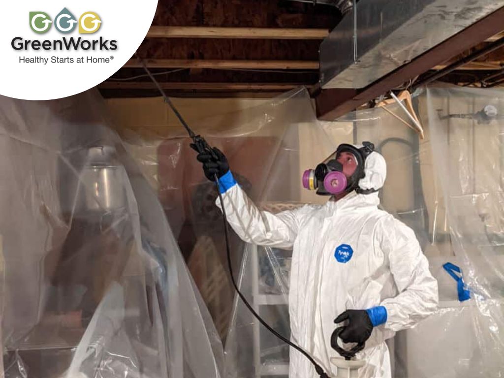 A professional performing mold removal and remediation