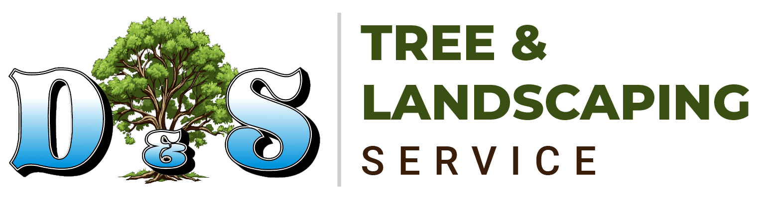 D&s tree & landscaping service