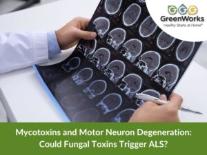 Mycotoxins and motor neuron degeneration: could fungal toxins trigger als?