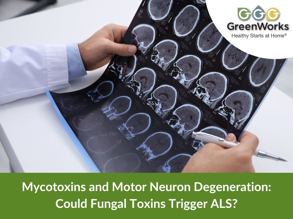 Mycotoxins and Motor Neuron Degeneration: Could Fungal Toxins Trigger ALS?