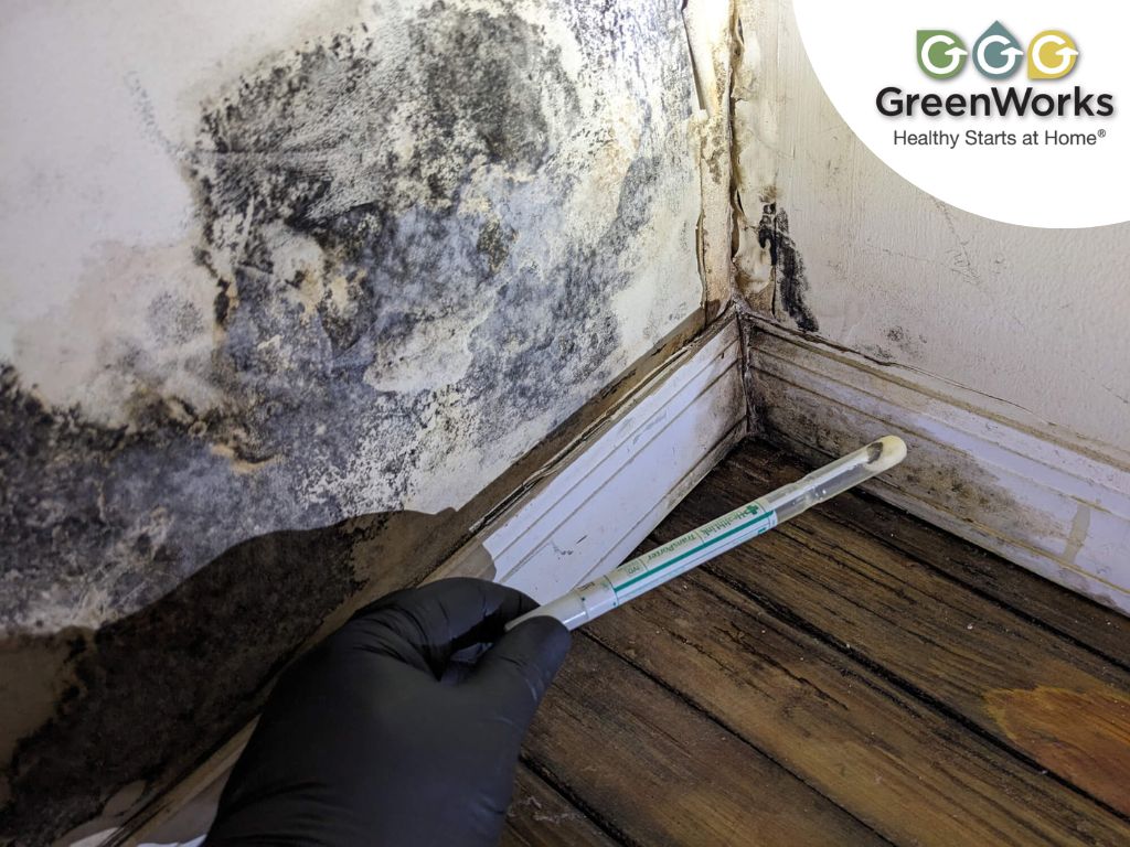 Severe black mold growth on drywall corner near baseboard