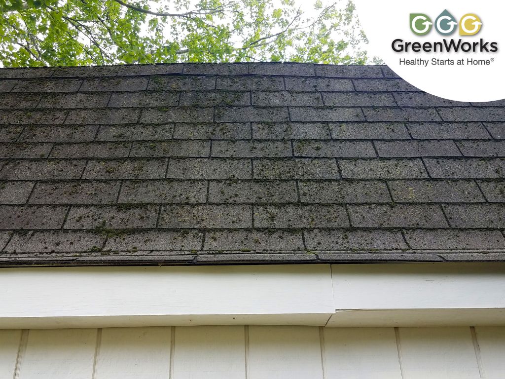 Mold and algae growth on residential roof shingles