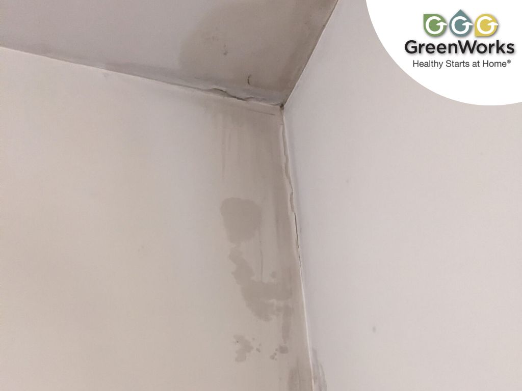 Water stains and ceiling leak marks on interior wall