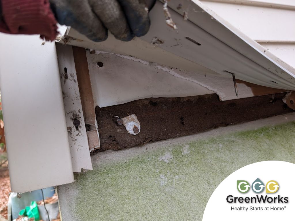 07-siding with client