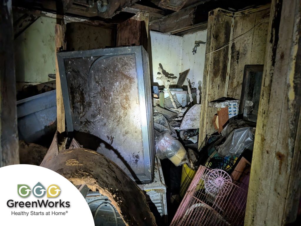 11-basement contents