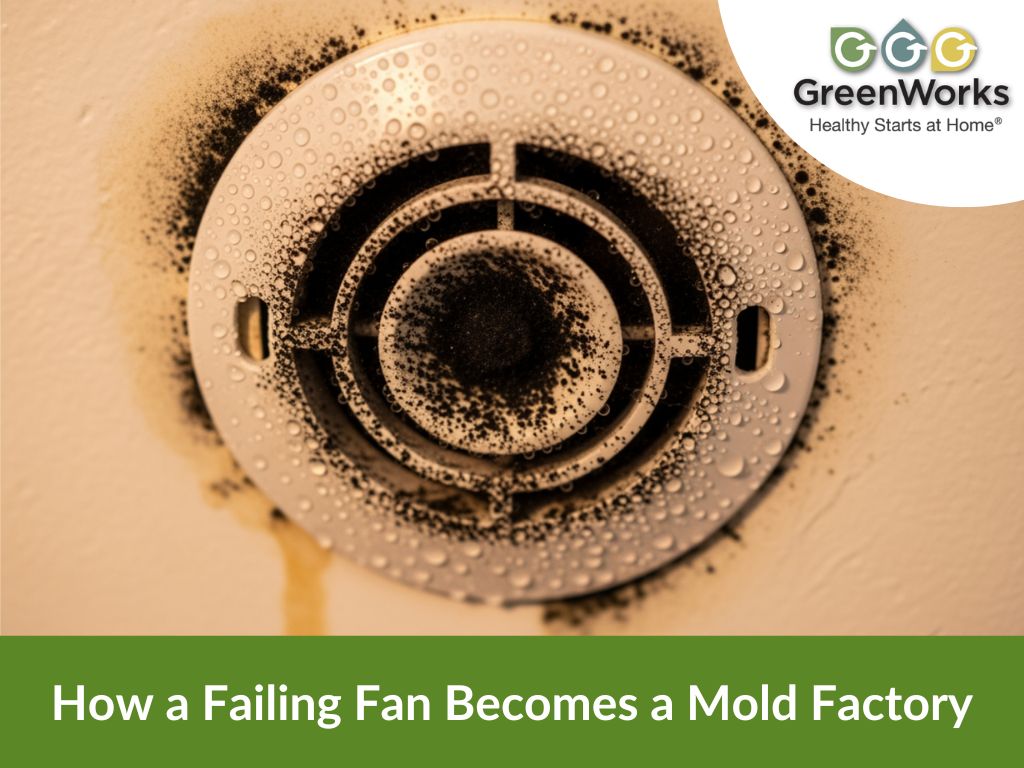 Fan with mold