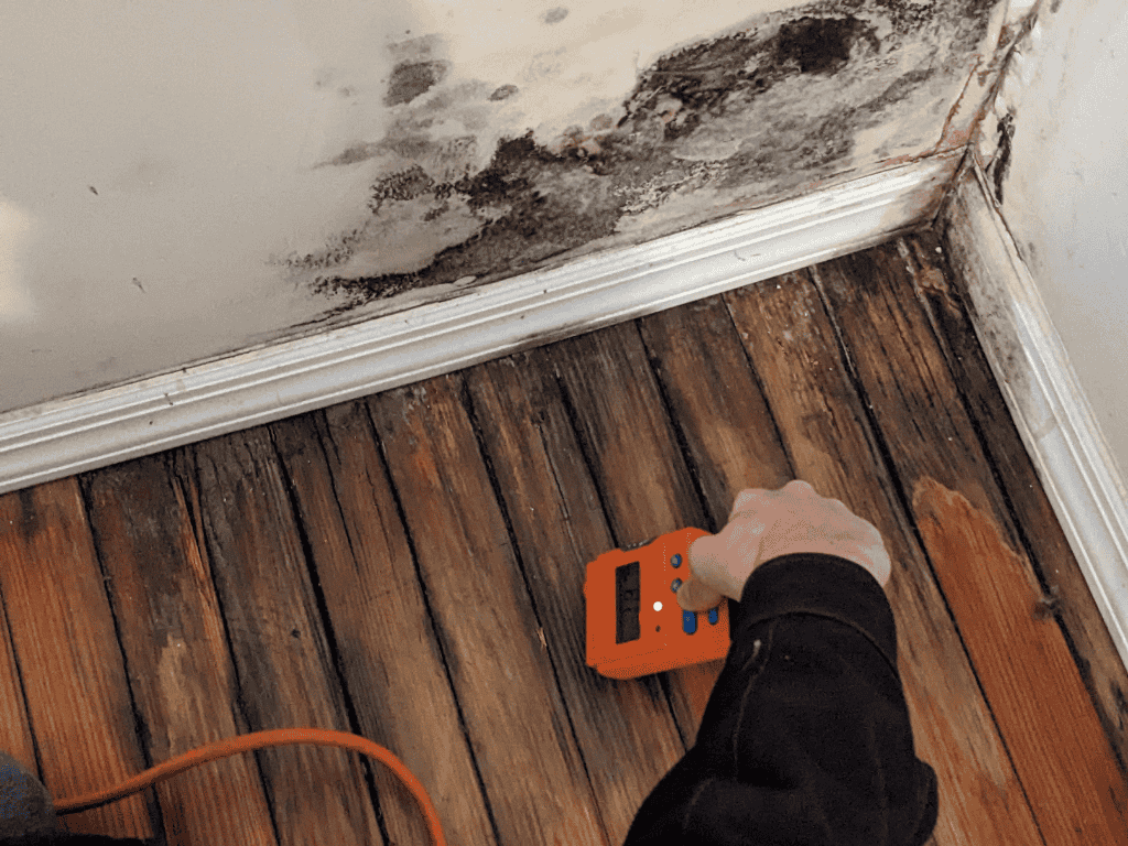 User-Inserted Inspector using a moisture meter on hardwood floor near wall with visible mold growth.