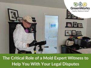 The critical role of a mold expert witness to help you with your legal disputes 2
