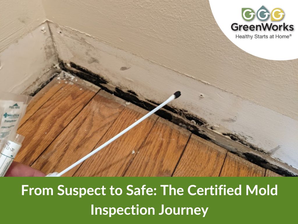 Certified mold inspection