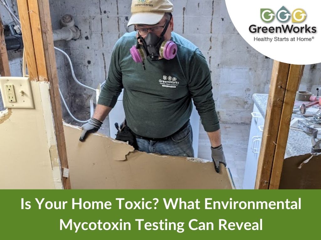 Is your home toxic? What environmental mycotoxin testing can reveal 2