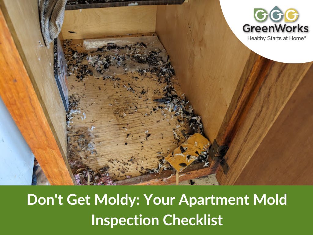 How to check for mold in apartment