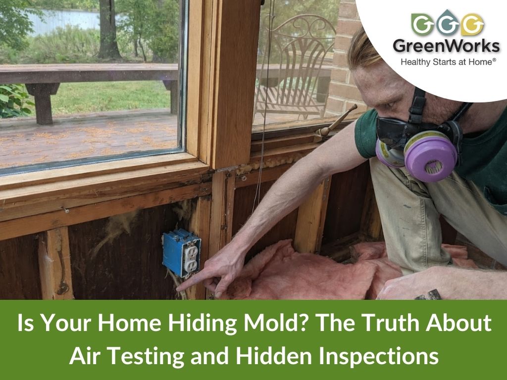 Mold air testing