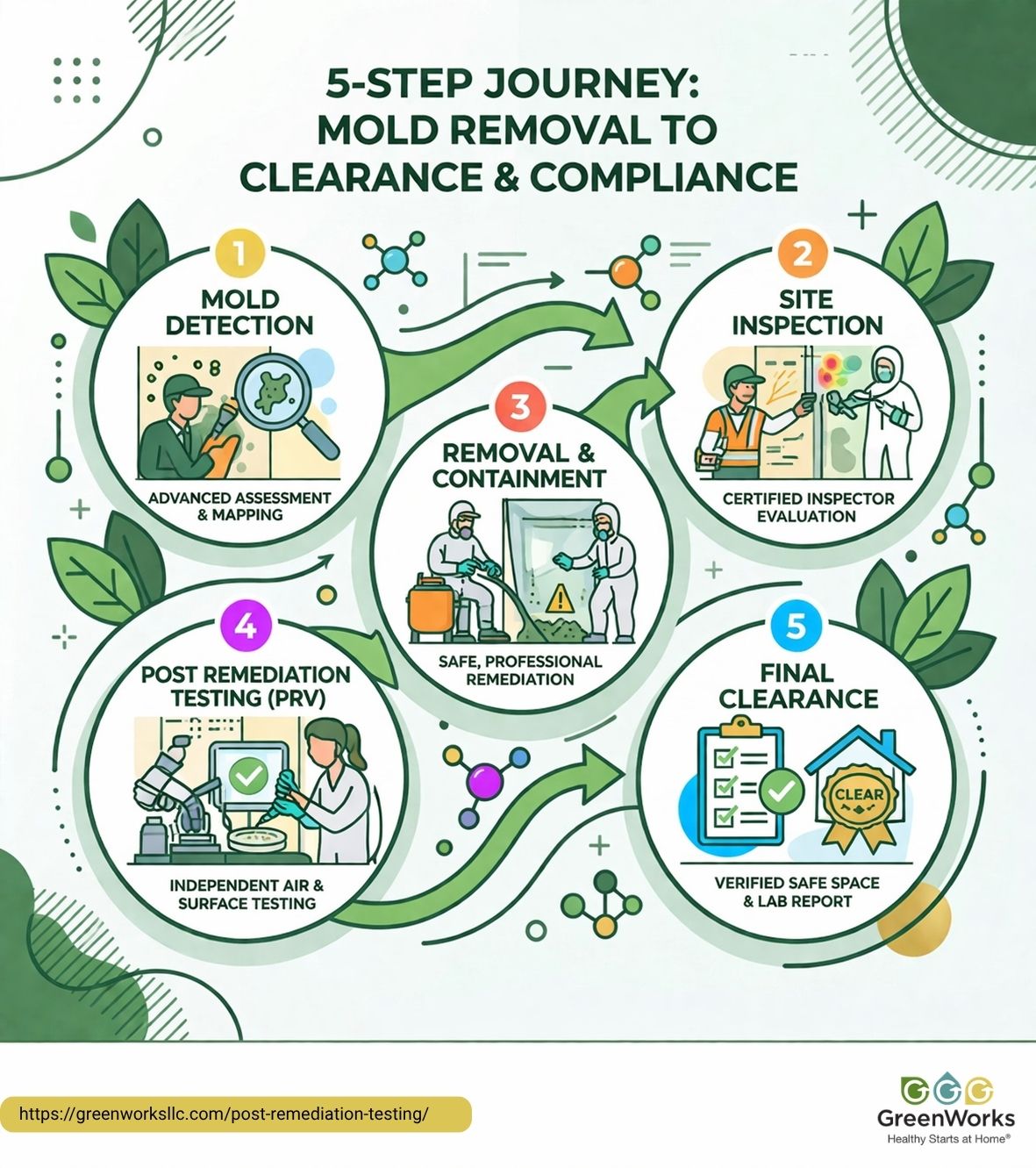 Informative poster detailing a 5-step journey for mold removal, with concise steps and illustrations for guidance.