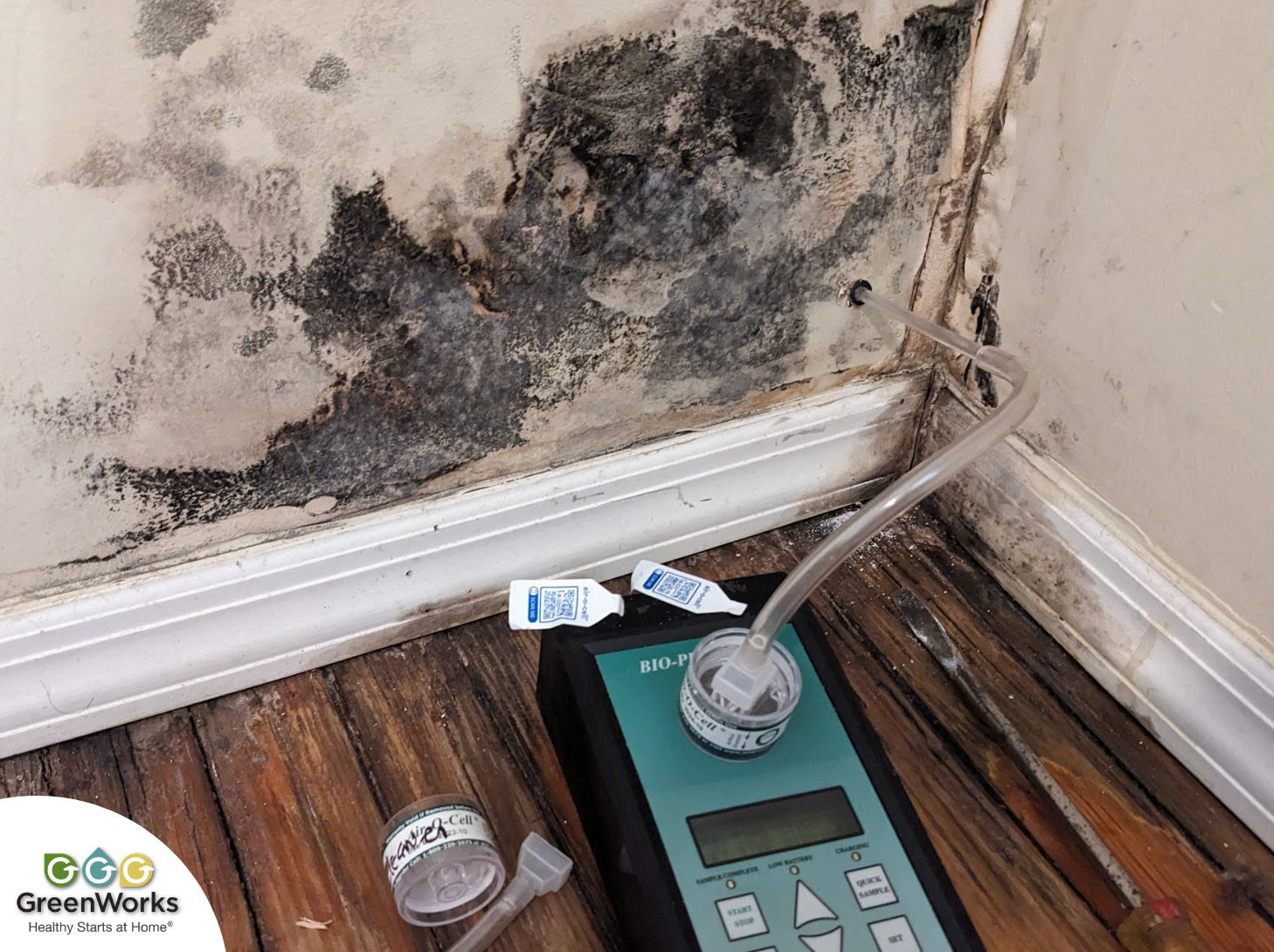 Mold remediation process underway in a new york city home, featuring professionals in protective suits and equipment. Photo by victor j. Coppola with greenworks environmental, llc