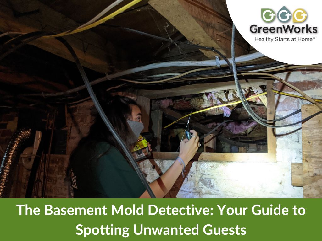 Check for mold in basement