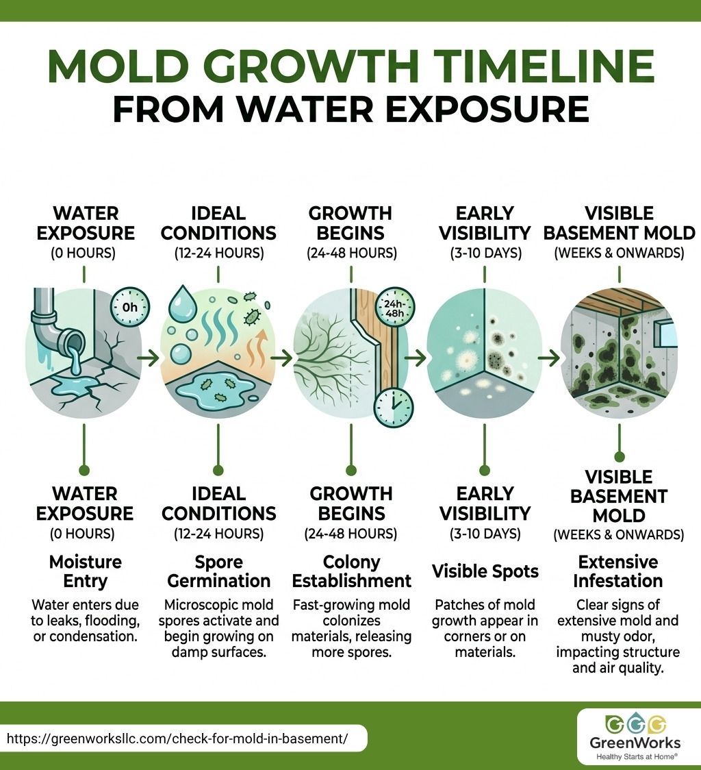 User-Inserted Timeline illustrating mold growth stages following water exposure, highlighting key development phases.