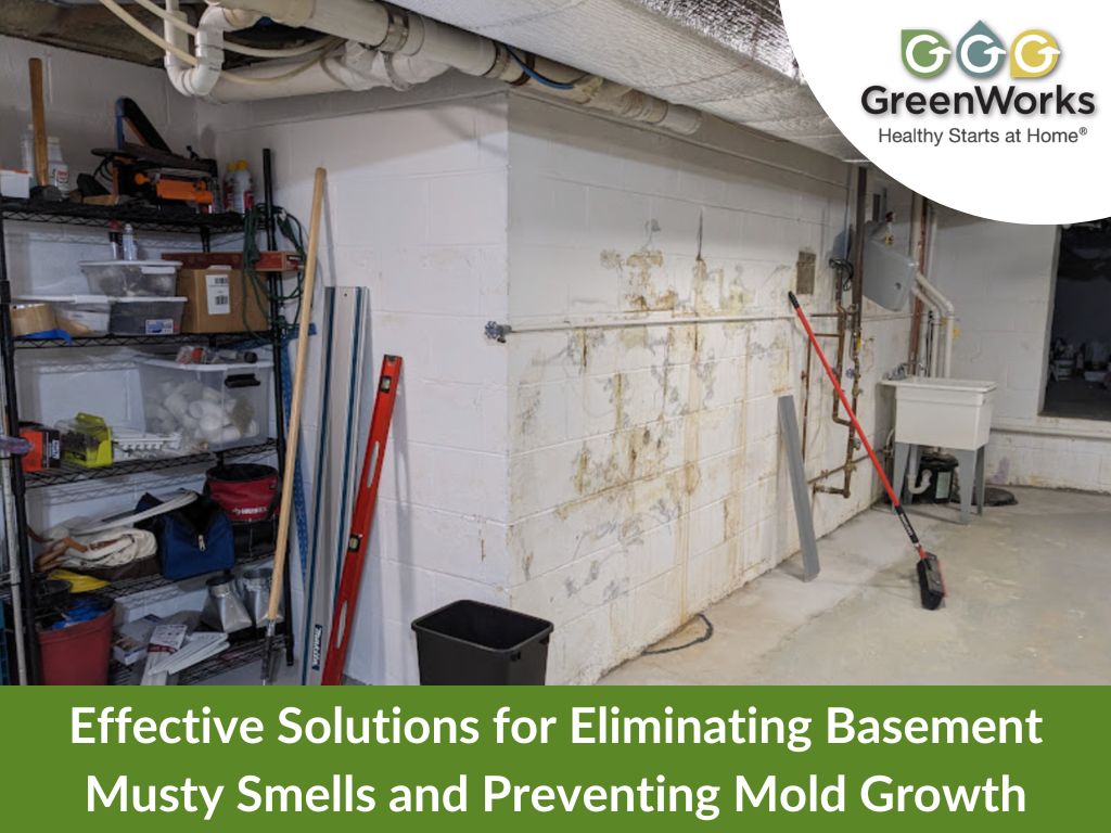 Solutions for eliminating musty basement odors and preventing mold growth, featuring dehumidifiers and ventilation systems.