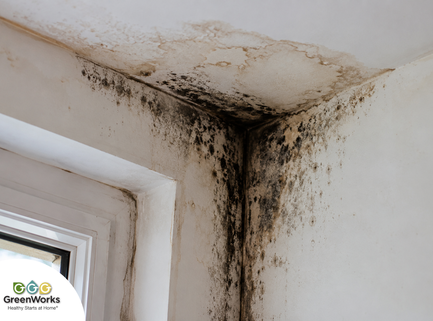 User-Inserted Interior view of a room with a window and a white wall, showing mold growth that may indicate water damage.