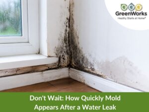 Don't wait: how quickly mold appears after a water leak 5