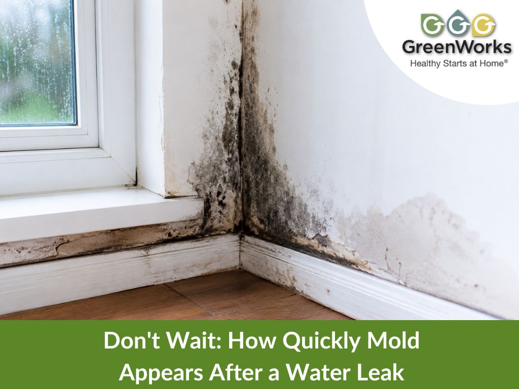Mold can quickly develop after a water leak; act fast to prevent health risks and property damage.