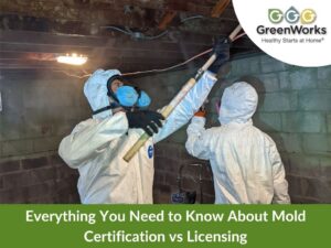 Everything you need to know about mold certification vs licensing 6