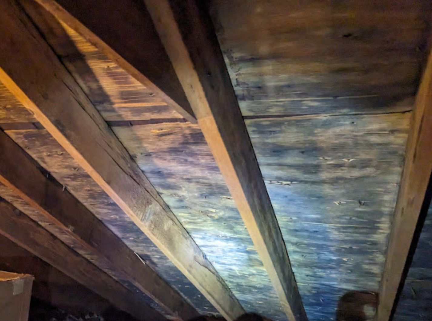 Mold Growth On Attic Decking And Trusses, Indicating Need For Remediation. Photo By Victor Coppola At Greenworks Mold growth on attic decking and trusses, indicating need for remediation. Photo by victor coppola at greenworks