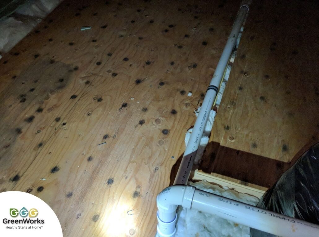 What causes condensation on walls & what it means for your home 1