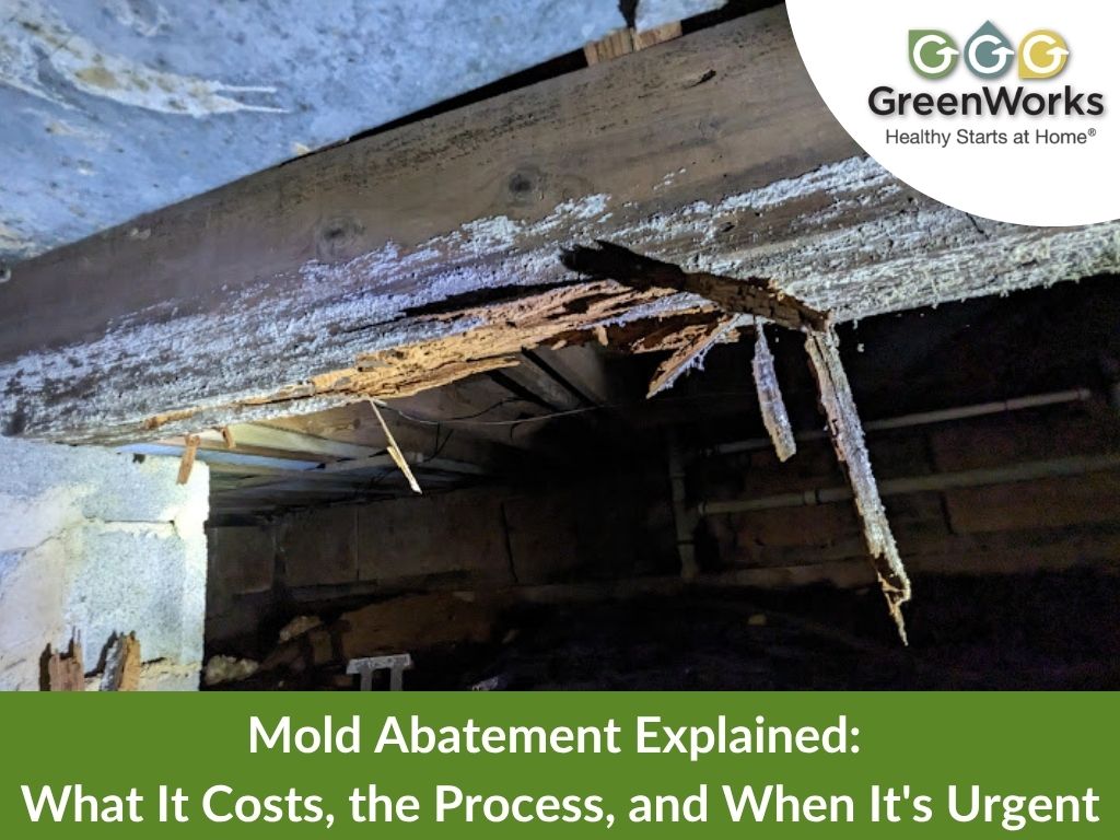 Damaged beam illustrating the destructive power of molds. The main structural beam in the crawl space crumbles in my hand (Biodeterioration). Photo by Victor Coppola w/GreenWorks Environmental, LLC.