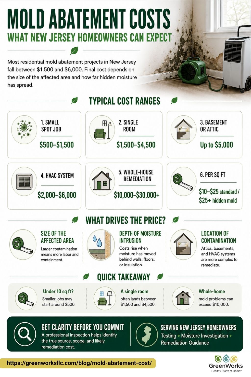 User-Inserted Infographic detailing mold abatement costs in new jersey, including typical ranges and factors influencing price.