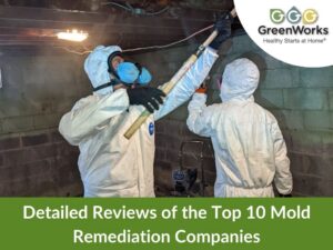 Detailed reviews of the top 10 mold remediation companies 1