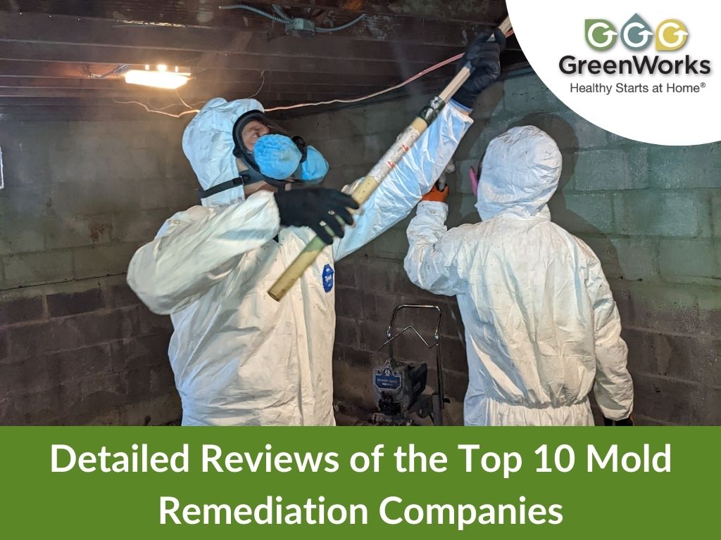Greenworks remediation team in protective suits performing mold treatment in crawlspace