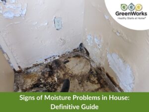 Signs of moisture problems in house: definitive guide 1