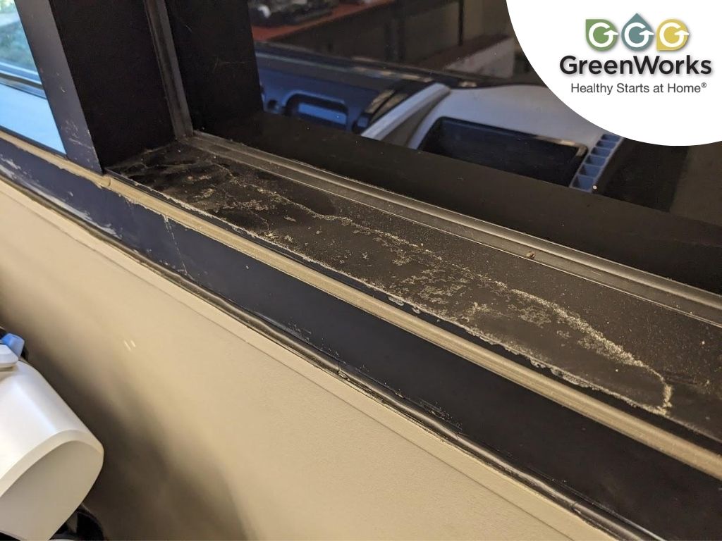 Dust, dirt, and mold spore accumulation along black commercial window sill