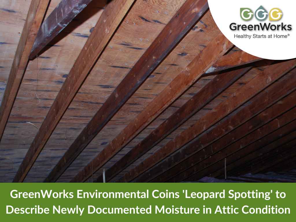 Dark circular moisture spots on attic wood sheathing and ductwork, indicating a moisture problem in the attic.