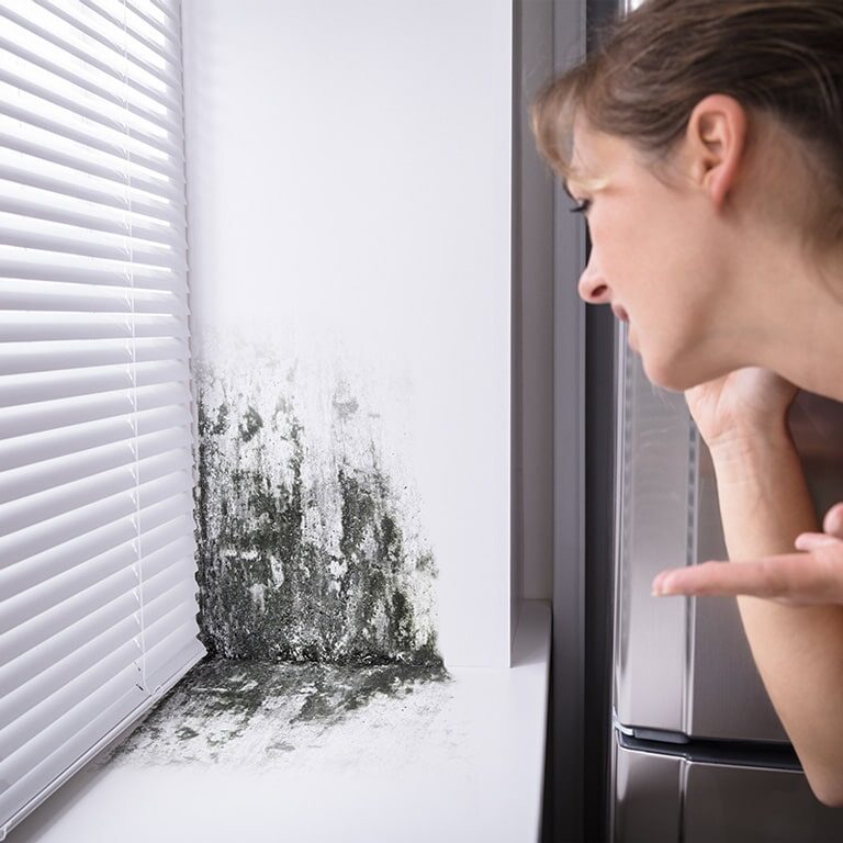 Don’t panic over spotty mold growth