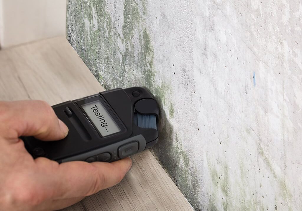 Is Mold Testing Necessary Is mold testing necessary