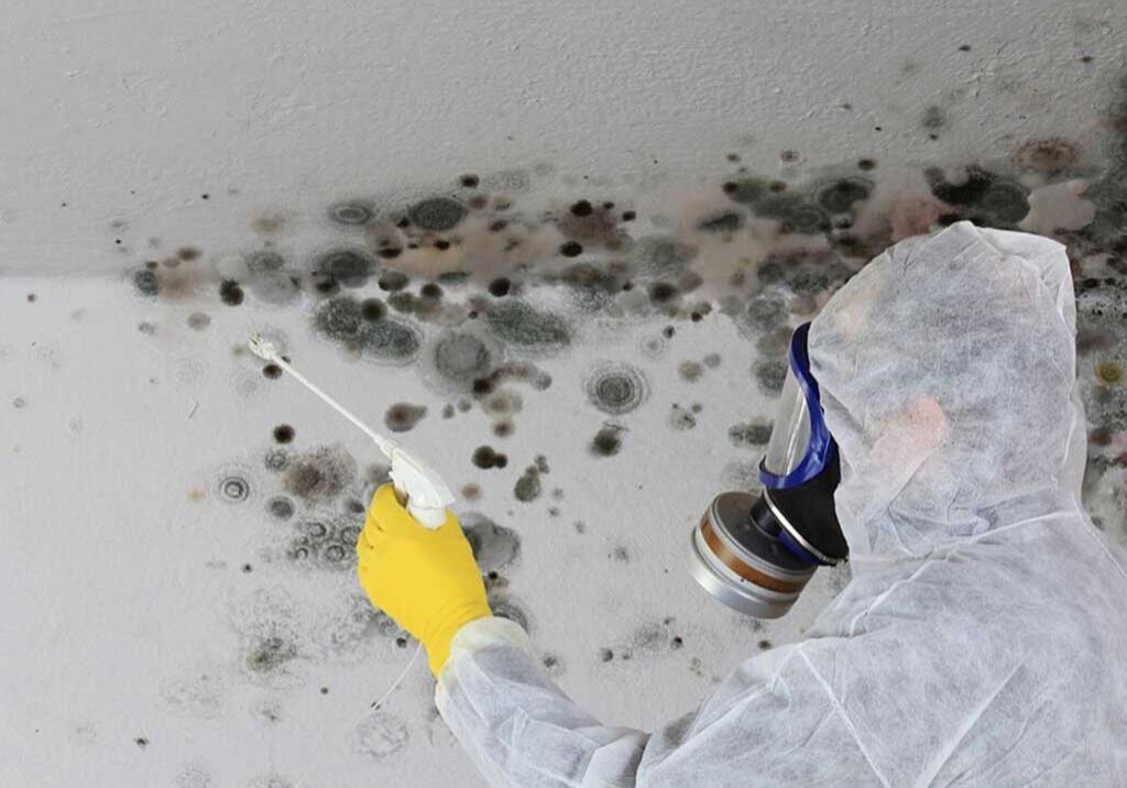 Molds on your bathroom ceiling
